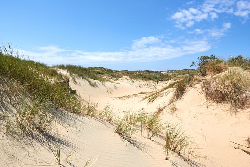 Dutch dunes by Jolene van den Berg