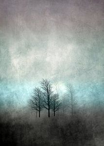 NOVEMBER FOREST COLORED MOODY