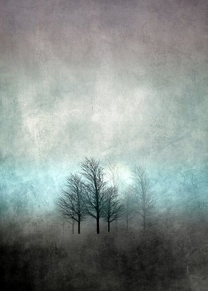 NOVEMBER FOREST COLORED MOODY von Pia Schneider