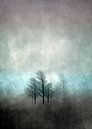 NOVEMBER FOREST COLORED MOODY von Pia Schneider Miniaturansicht