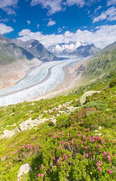 De Grote Aletschgletscher gezien vanaf Riederalp Zwitserland van Rob Kints