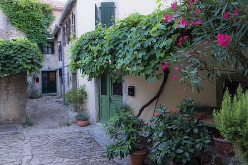 Steegje met roze bloemen
