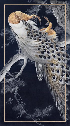 Two Peacocks in Night Blue