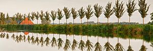 Baumreihe entlang des Ringkanals des Beemster-Polders