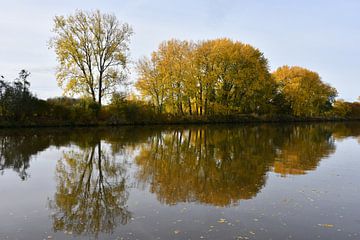 Yellow reflections von Henk de Boer