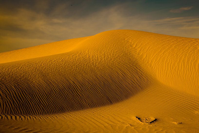Sahara Gärten von Leo Keijzer