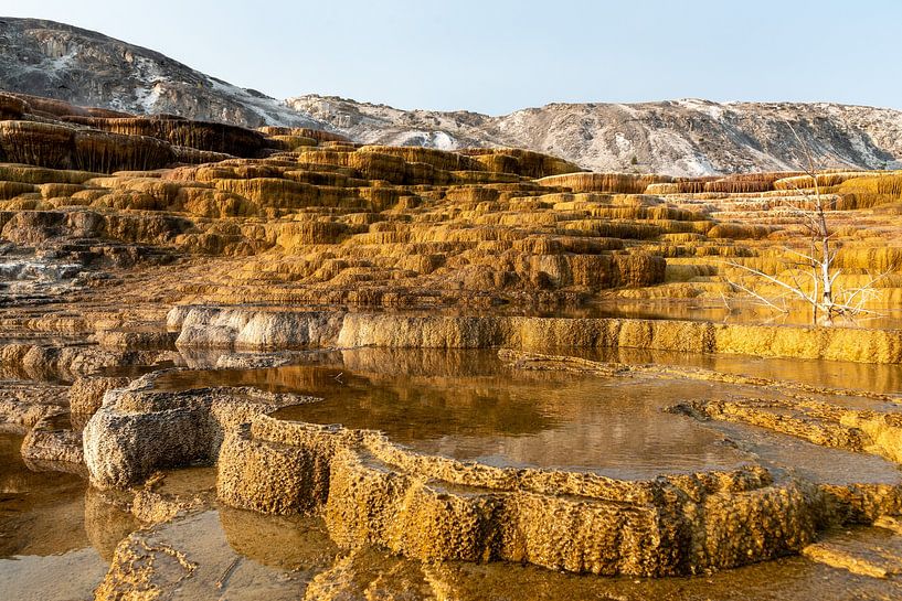 Yellowstone-Nationalpark von Studio Retouched fotoshop