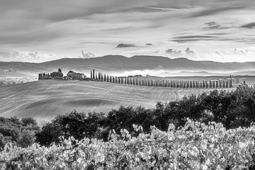 Toskana Landschaft mit Zypressenweg in schwarz weiß von Manfred Voss, Schwarz-weiss Fotografie
