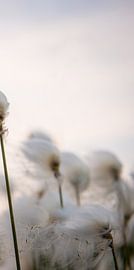 Wolverines (Part 3 of triptych) by Ellis Peeters