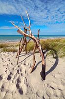 At the west beach on the Darß