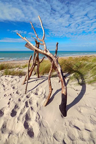 Aan het weststrand aan de Darß