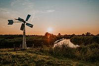 Bosman Windwatermolen