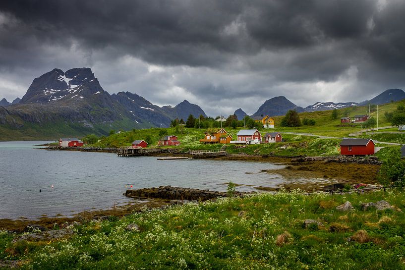 Natur auf den Lofoten. von Hamperium Photography
