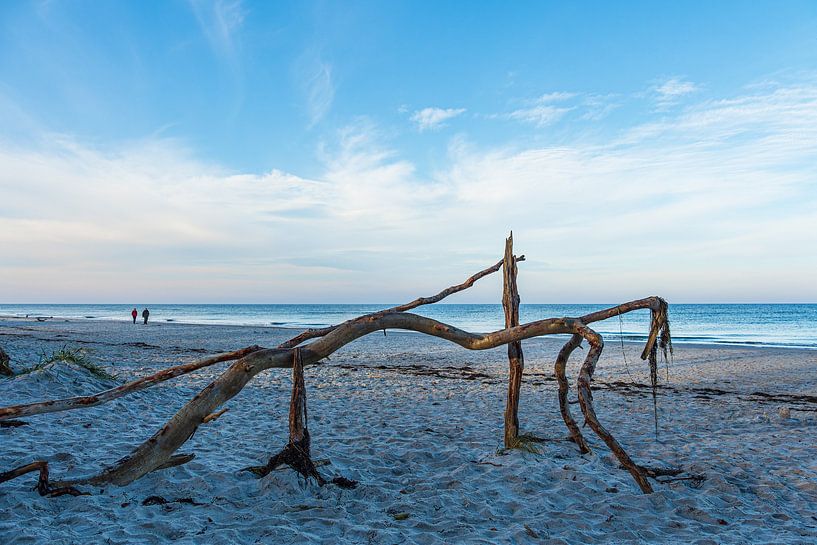 Driftwood on the west beach on the Baltic coast of Fischland-Da by Rico Ködder