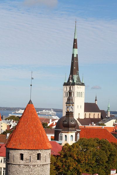 Ausblick vom Domberg auf die Unterstadt, Altstadt mit der Olaikirche oder Oleviste Kirik, und  einen von Torsten Krüger