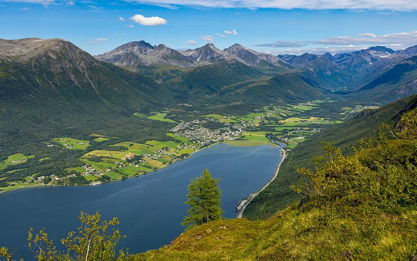 Vue du Romsdalsfjord, Norvège par Adelheid Smitt