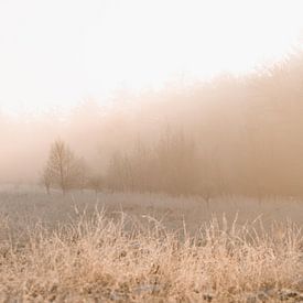 Duurswouder Heide im Winter bei Sonnenaufgang von Fenna Duin-Huizing