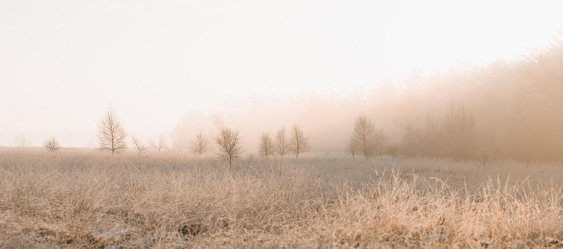 Duurswouder Heath in winter at Sunrise by Fenna Duin-Huizing