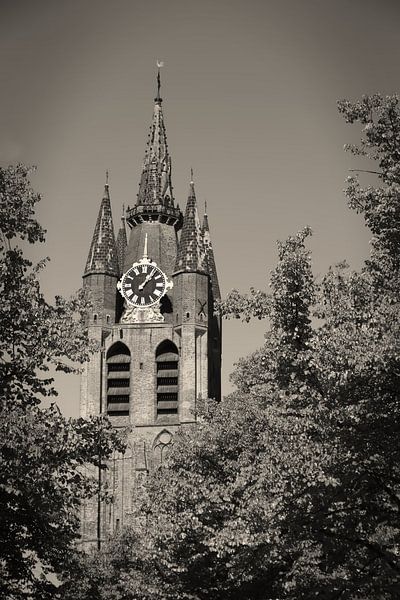 De Oude Kerk van Delft tussen de bomen. van Robert Jan Smit