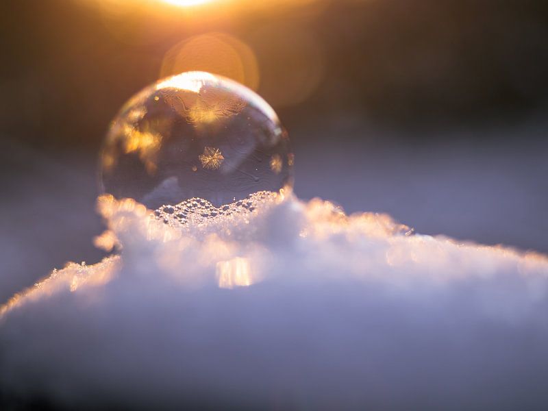 Freezing ice bubble by Tommy de Wever