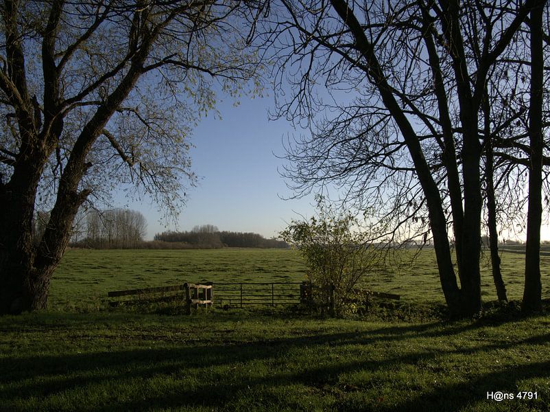 Need i say more! by Hans van Kaam