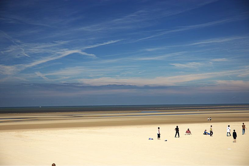 Zomer von José Janssen