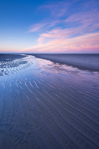 Maasvlakte 18 von Deshamer