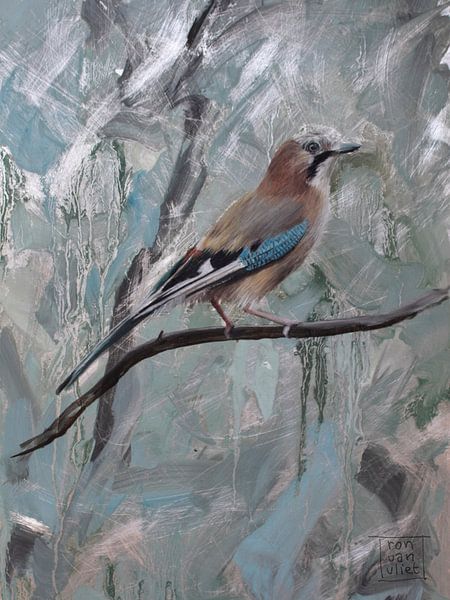 jay by Ron van Vliet