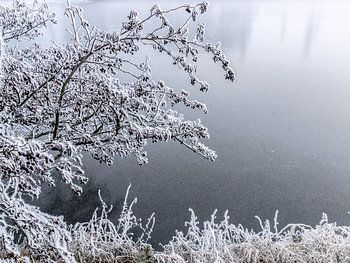 Es war hart gefroren, weißer Reif auf den Ästen über einem eisigen Boden