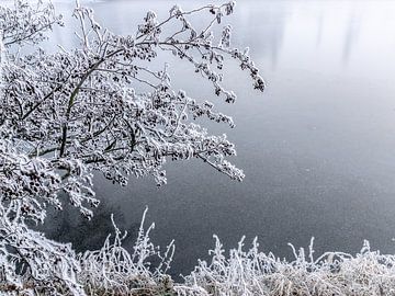 Es war hart gefroren, weißer Reif auf den Ästen über einem eisigen Boden von Jan Willem de Groot Photography