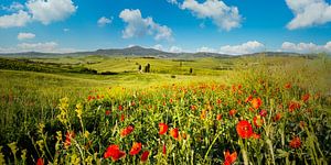 Val d'Orcia in der Toskana