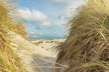 strand, zee, zon, duinen, helmgras, Ameland van M. B. fotografie