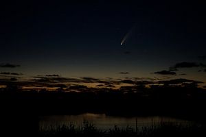 Comet Neowise
