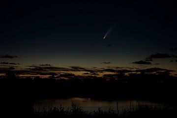 Komet Neowise von Lisa Bouwman