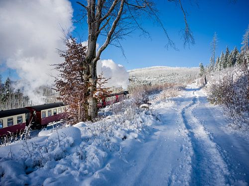 De Brocken-spoorweg is op weg naar de Brocken