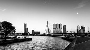 Skyline van Rotterdam van Danny den Breejen