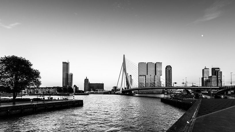 Skyline von Rotterdam von Danny den Breejen