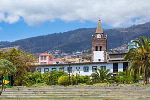 Blick auf Funchal auf der Insel Madeira, Portugal