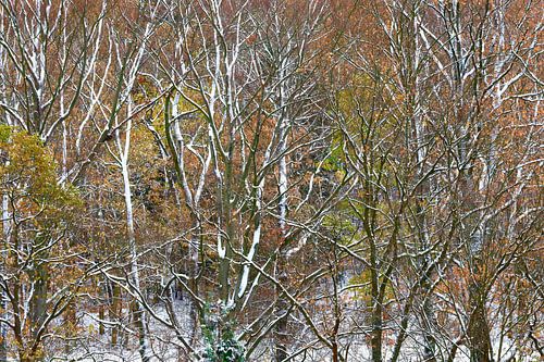 Wald im Erzgebirge im Winter