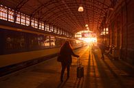 Silhouetten von Reisenden am Bahnhof bei Sonnenuntergang von Rob Kints Miniaturansicht