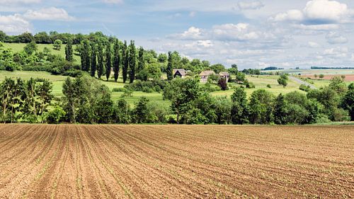 Paysage de l'Eifel