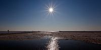Haven Terschelling met winterijs