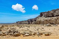 Landschaft im Naturschutzgebiet oder Nationalpark Slagbaai auf der Insel Bonaire von Ben Schonewille Miniaturansicht