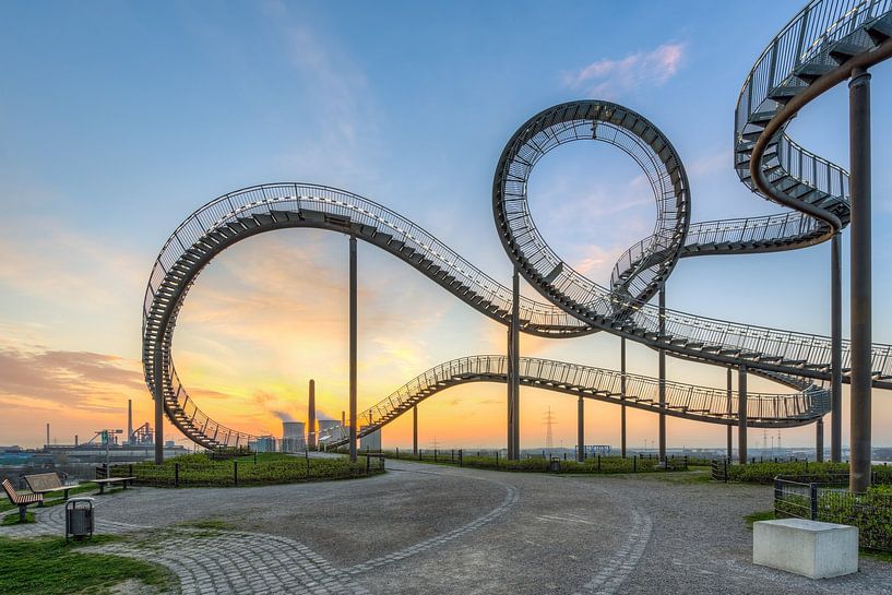 Tigre et tortue Duisburg par Michael Valjak