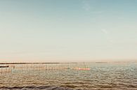 Albufera van Joep Deumes thumbnail