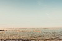 Albufera
