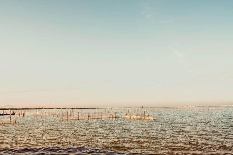 Albufera van Joep Deumes