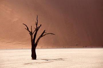 Deadvlei Desert, Namibië van Peter Schickert