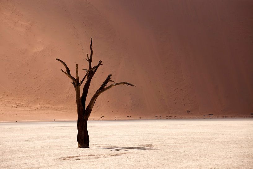 Deadvlei Desert, Namibia by Peter Schickert