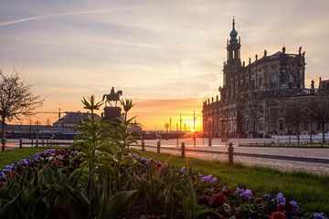 Aprilmorgen in Dresden